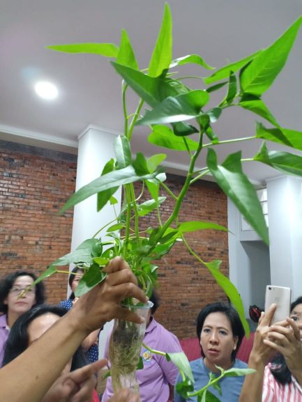 WhatsApp Image 2019-11-25 at 00.12.00-ok